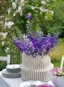 Kokotić je cvijet 2026. godine