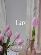Lav