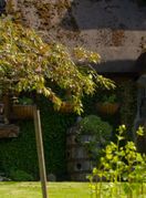 Prava \'Hobit\' kućica u kojoj živi umirovljenik Stuart Grant - 8