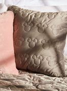 Primark jastuci s omiljenim likovima prodaju se za 8 eura (59,55 kn)