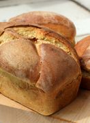 Stari kruh moguće je vratiti u život