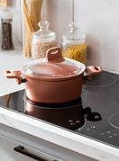 Indukcija je posljednjih godina postala sinonim za suvremenu kuhinju