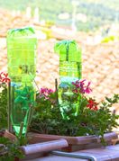 Trik za zalijevanje cvijeća