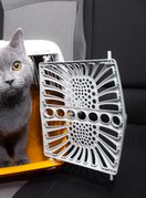 Mačka u transporteru