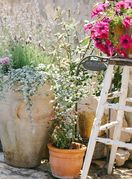 Prekrasan eksterijer uredila je Sabine Živić - 9