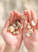 Dijete drži školjke