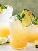 Kotkel s džinom i mentom