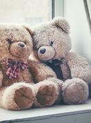 Medvjedići na prozoru