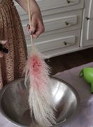 Bojenje pampasa sa sastojcima iz hladnjaka - 2