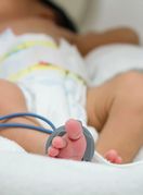 Vratimo palčiće u Petrovu