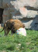 Zekanje u zagrebačkom Zoo vrtu na Uskrsni ponedjeljak - 4