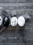 Crne i bijele pisanice - 2