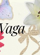 Vaga