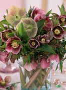 Kukurijek neki nazivaju i korizmenom ružom - 5