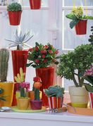 Zbog sokova u listovima sukulenti mogu preživjeti u ekstremno suhim i vrućim uvjetima - 3