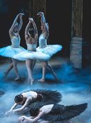 Labuđe jezero na pozornici HNK-a u Zagrebu - 4