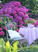 Prekrasni vrtovi s hortenzijama - 9