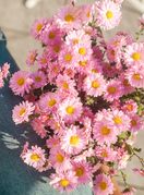 Tjedni horoskop od 20. do 27. svibnja