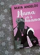 Knjigu je objavila izdavačka kuća Iris Illyrica