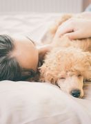 Psi imaju pozitivan učinak na kvalitetu sna