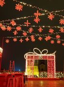 Mjesto na kojem nastaju najljepše adventske fotografije - 3