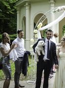 Sanja Srdić Jungić