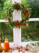 Šipak se itekako može koristiti kao ukras