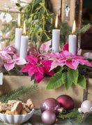 Adventski vijenac ukrašen božićnom zvijezdom