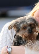 Slavne osobe koje su udomile pse - 10