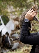 Volonter je u selu Zlate u Bosni i Hercegovini iz ruševina spasio mačku - 4