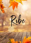 Tjedni horoskop za studeni