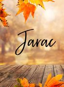 Tjedni horoskop za studeni