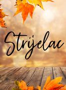 Tjedni horoskop za studeni