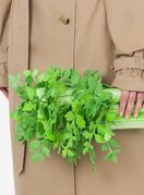 Torba u obliku celera s potpisom Moschina