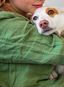 Psi itekako znaju kad nam je teško