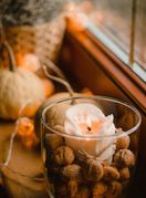 Što nam donosi studeni?