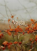 Vaga