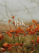 Rak