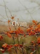 Ovan
