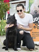 Pod motom \'Upoznaj me u Dumovcu!\' održana je akcija Udomljavanje je fora - 2