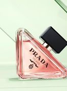 Prada Paradoxe