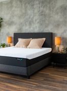 Tempur linija madraca i jastuka iz Harvey Normana