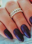 Manikura u boji borovnice