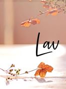 Lav