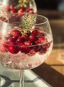 Džin tonik s brusnicama