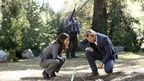 mentalist 4 mentalist 4
