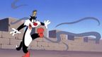 Sylvester i Tweety Sylvester i Tweety