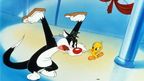 Sylvester i Tweety 3. sezona epizode - 5 Sylvester i Tweety 3. sezona epizode - 5