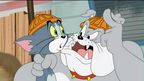 Tom i Jerry priče Tom i Jerry priče