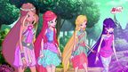 winx club splash winx club splash